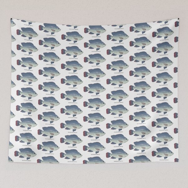 Item preview, Oreochromis - Tilapia designed and sold by Wittylot.
