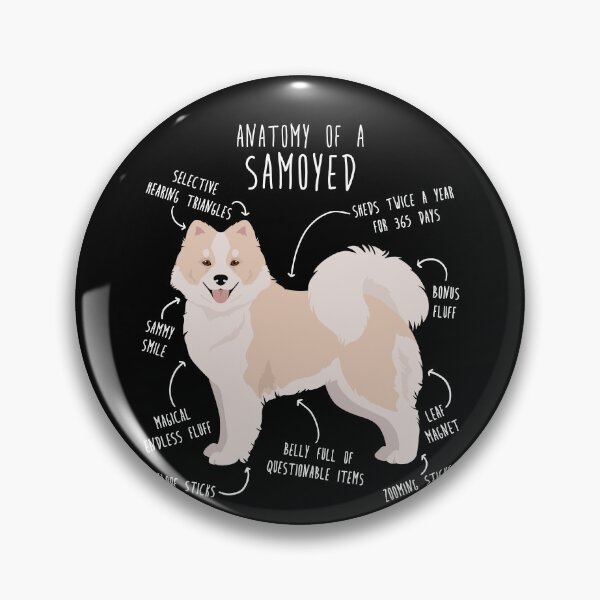 Item preview, White and Biscuit Samoyed Dog Anatomy designed and sold by Clara Hollins.