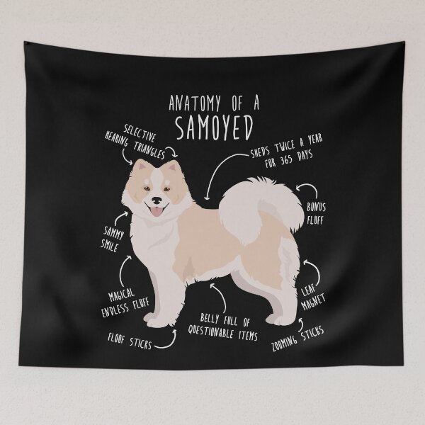 Item preview, White and Biscuit Samoyed Dog Anatomy designed and sold by Clara Hollins.