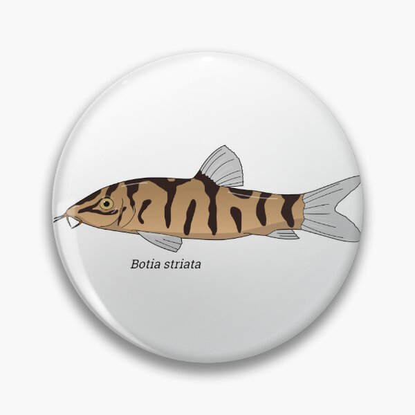 Item preview, Botia - Zebra loach designed and sold by Wittylot.