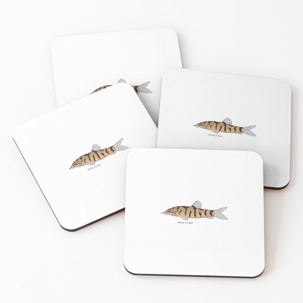 Item preview, Botia - Zebra loach designed and sold by Wittylot.