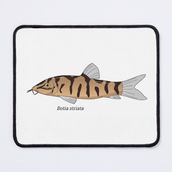 Item preview, Botia - Zebra loach designed and sold by Wittylot.