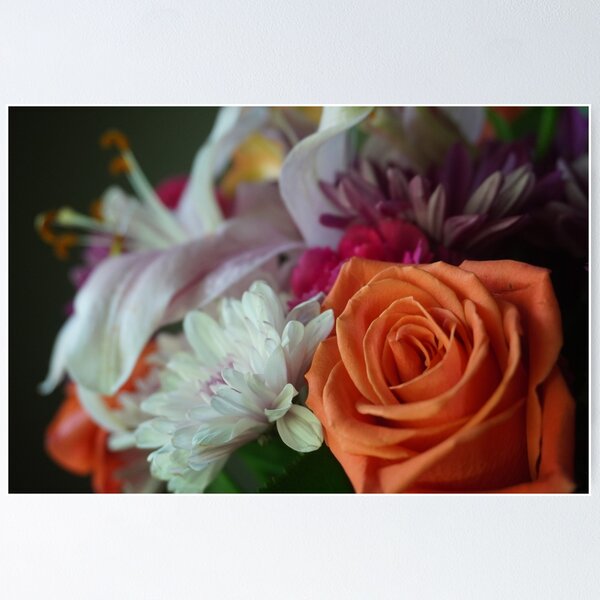 Artikelvorschau, Orange Rose entworfen und verkauft von Bloom-N-Blossom.