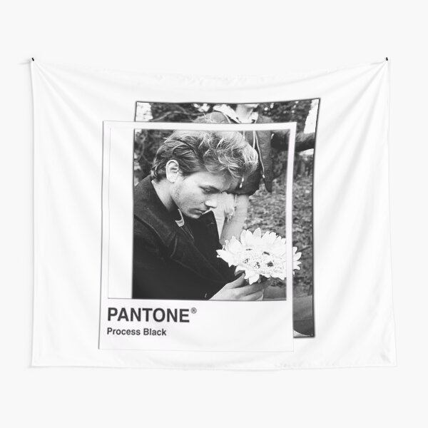 River Phoenix Pantone Tapestry