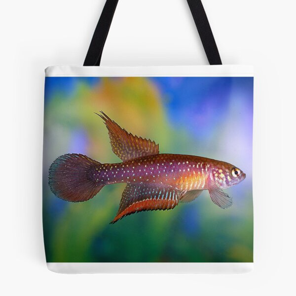 Item preview, Nemotolebias whitei designed and sold by Vern Treat.