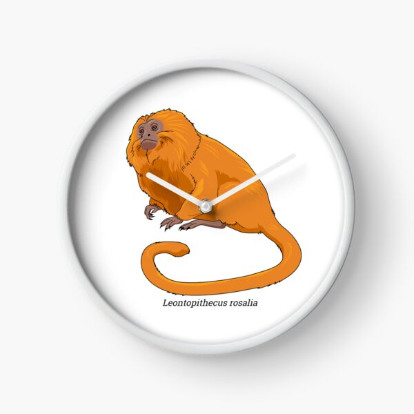 Item preview, Leontopithecus - Golden lion tamarin designed and sold by Wittylot.