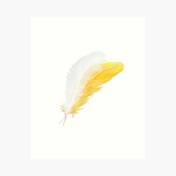 War Feathers McGraw, Fine Art Print