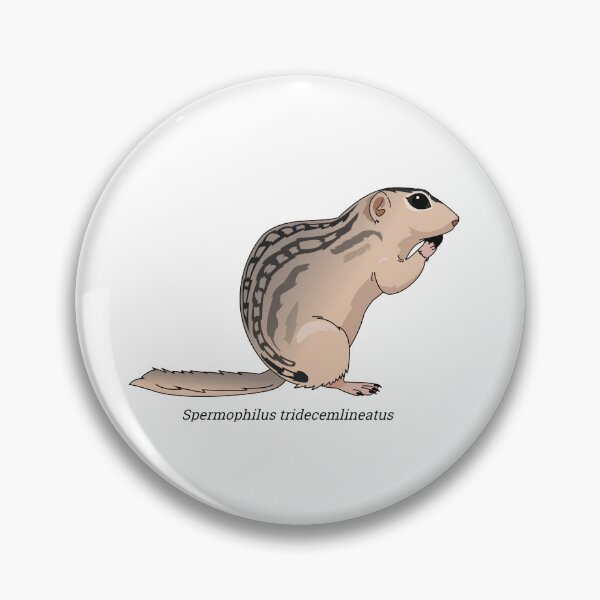 Item preview, Spermophilus - Thirteen-lined ground squirrel designed and sold by Wittylot.