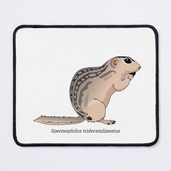 Item preview, Spermophilus - Thirteen-lined ground squirrel designed and sold by Wittylot.