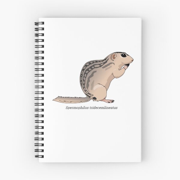 Item preview, Spermophilus - Thirteen-lined ground squirrel designed and sold by Wittylot.