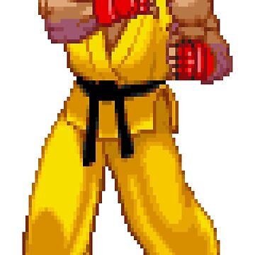 Ryu Fighting Stance SF3 Magnet for Sale by ropified