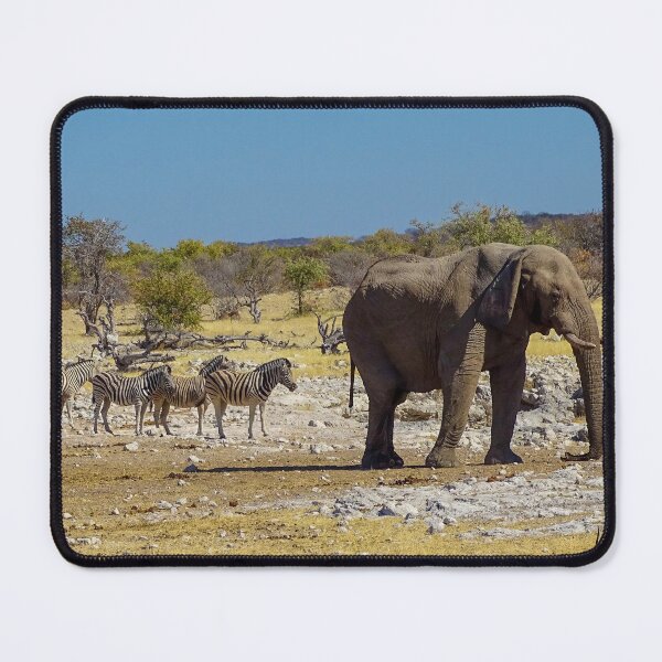 Aperçu de l'œuvre Éléphant et zèbres - Etosha, Namibie créée et vendue par Vik-Ink.