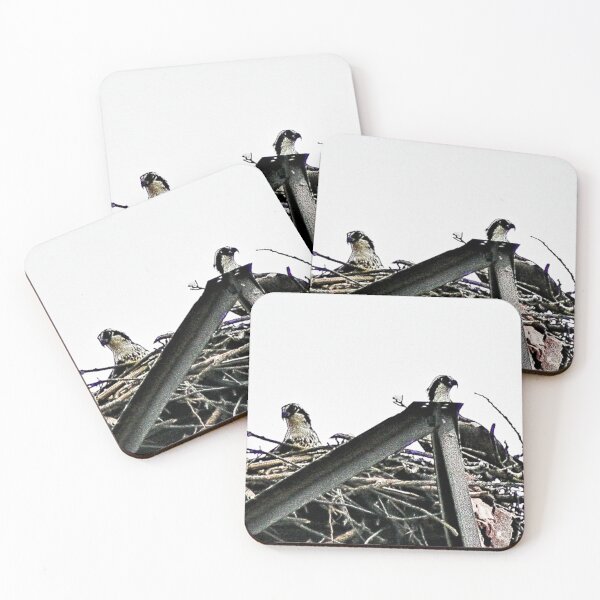 Item preview, Nesting Osprey designed and sold by SRosuphotos.