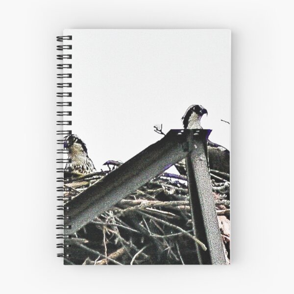 Item preview, Nesting Osprey designed and sold by SRosuphotos.