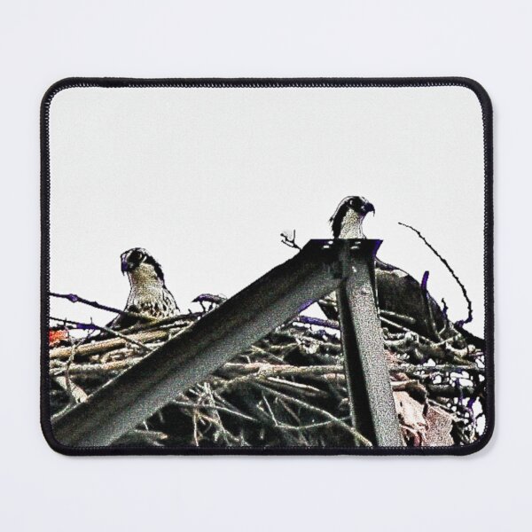 Item preview, Nesting Osprey designed and sold by SRosuphotos.