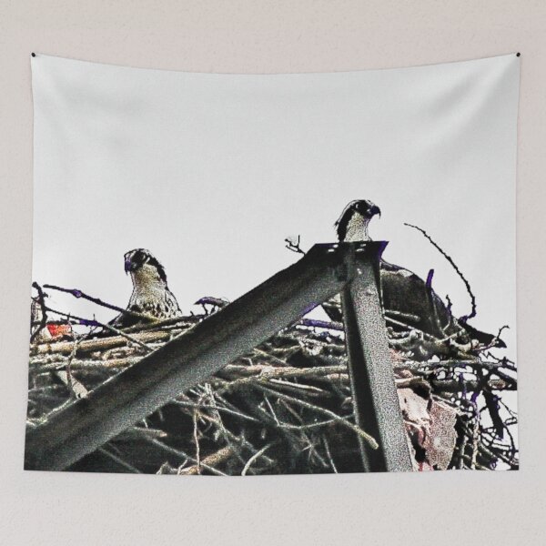 Item preview, Nesting Osprey designed and sold by SRosuphotos.