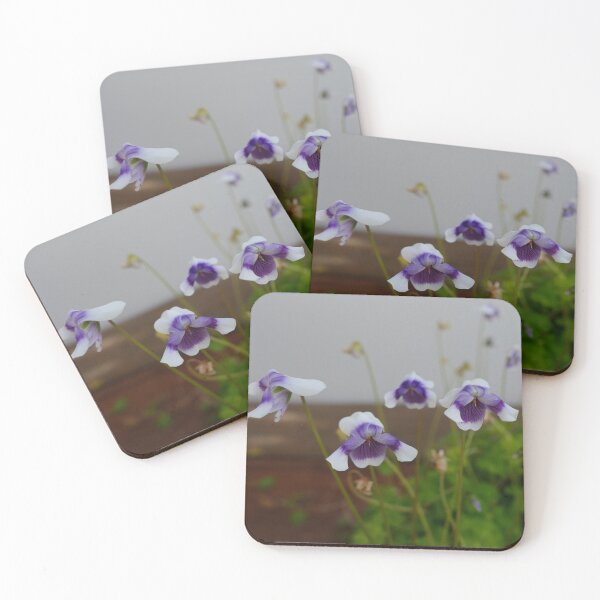 Aperçu de l'œuvre Violettes indigènes dans le jardin créée et vendue par jaynerushton.
