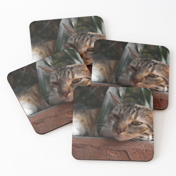 Item preview, Cat designed and sold by ricobarinas.