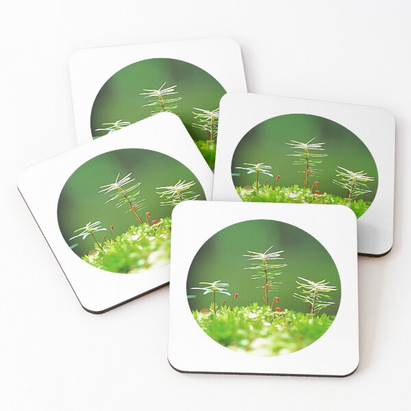 Item preview, Plant oil art  designed and sold by Coffeemerc117.