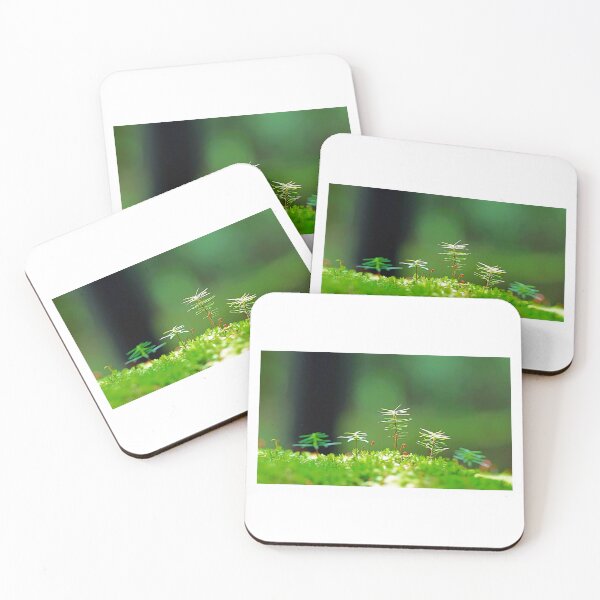 Item preview, Square oil plants designed and sold by Coffeemerc117.