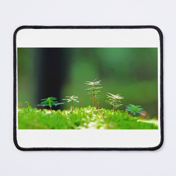 Item preview, Square oil plants designed and sold by Coffeemerc117.