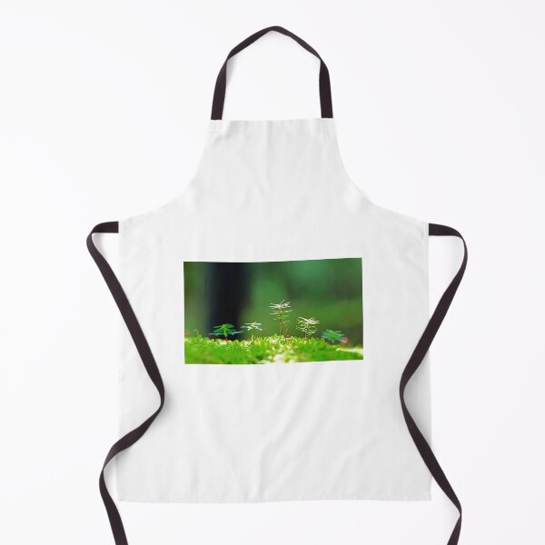 Item preview, Square oil plants designed and sold by Coffeemerc117.