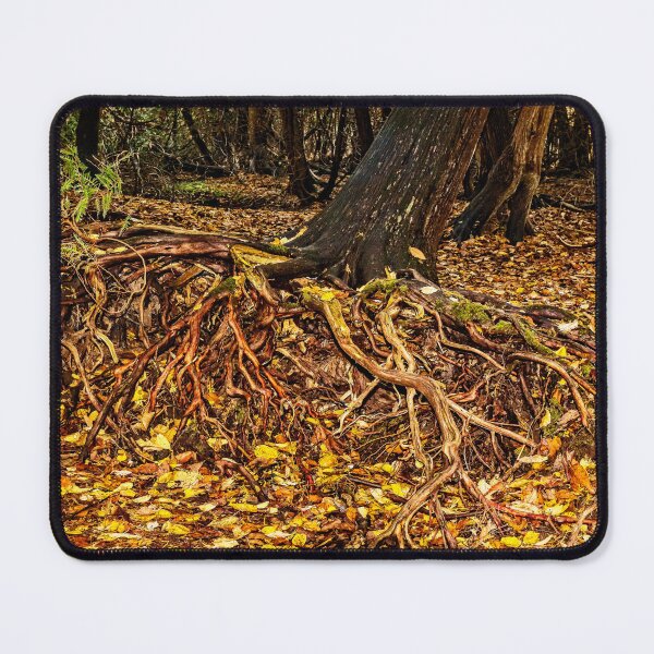 Item preview, Tree Roots 2 designed and sold by Robert Alsop.