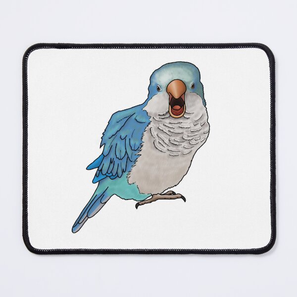 Item preview, Screaming Blue Quaker Parrot designed and sold by neesheew.
