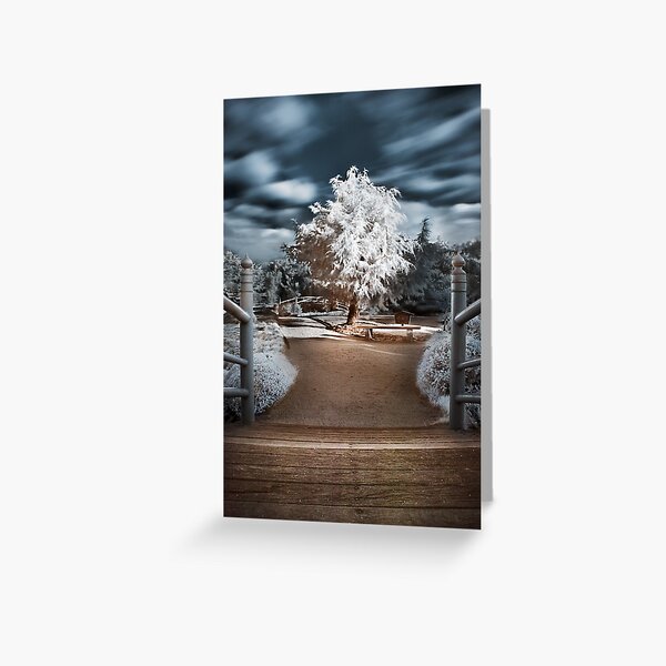 Kodama Greeting Card