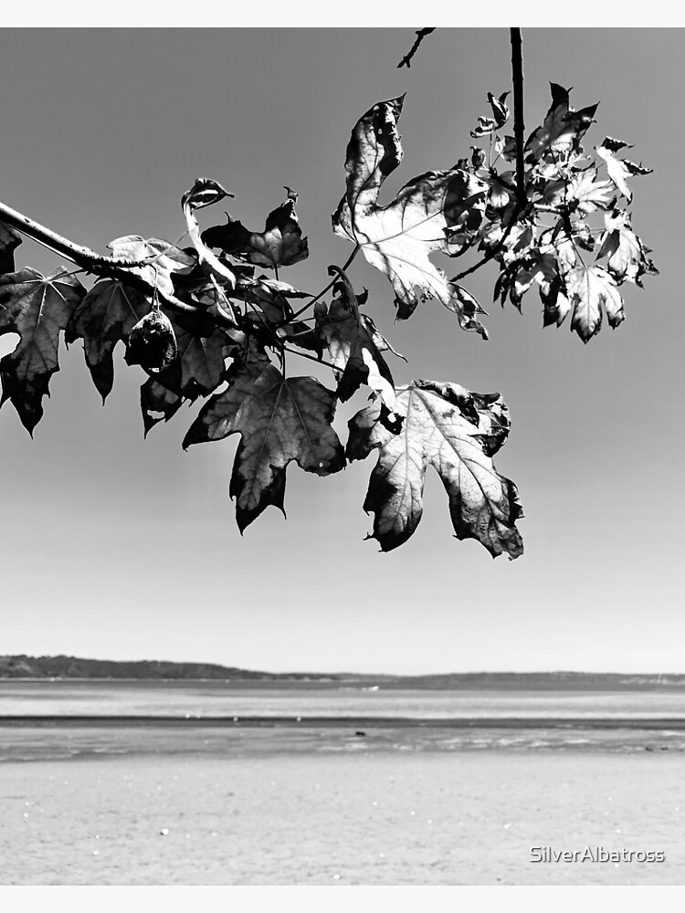 Poster for Sale avec l uvre Paysage de plage noir et blanc