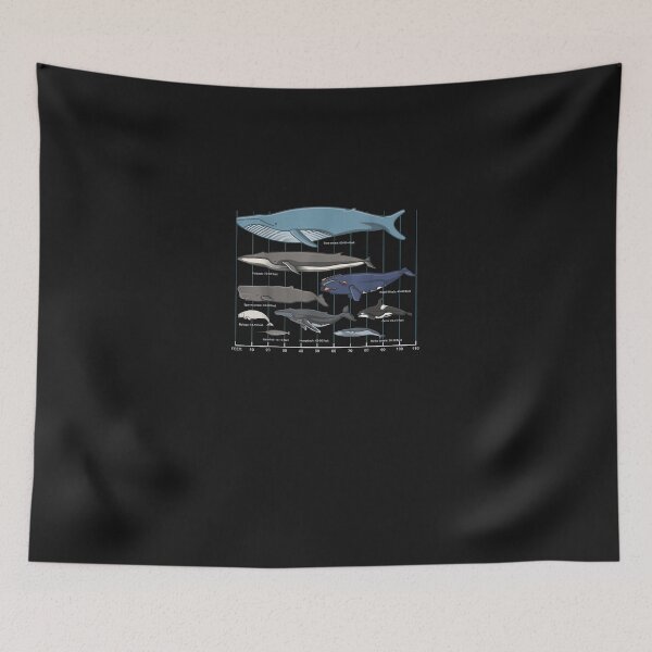 Item preview, Types Of Whales - Huge Whale  designed and sold by ErnestHParker.
