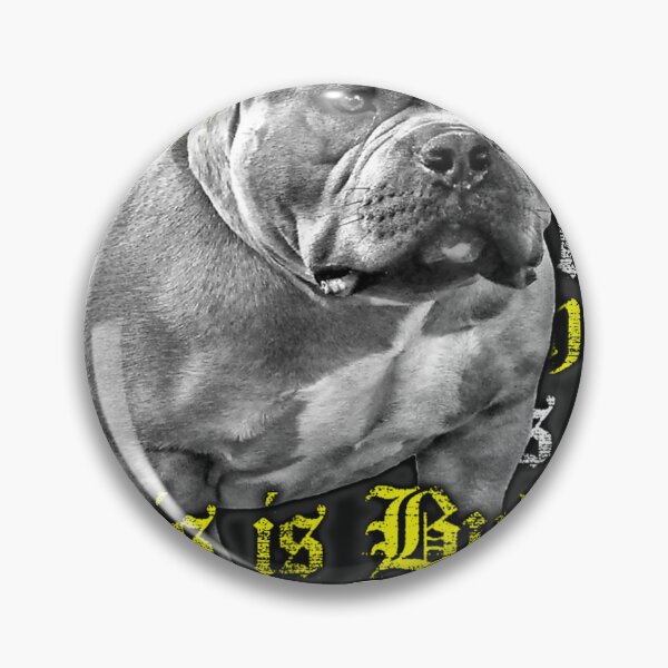 Pin on American Bully Studs