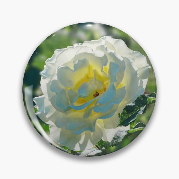 Item preview, Sunlit Roses designed and sold by Alisonchambers2.