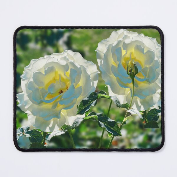 Item preview, Sunlit Roses designed and sold by Alisonchambers2.