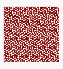 Pepperoni Photographic Print