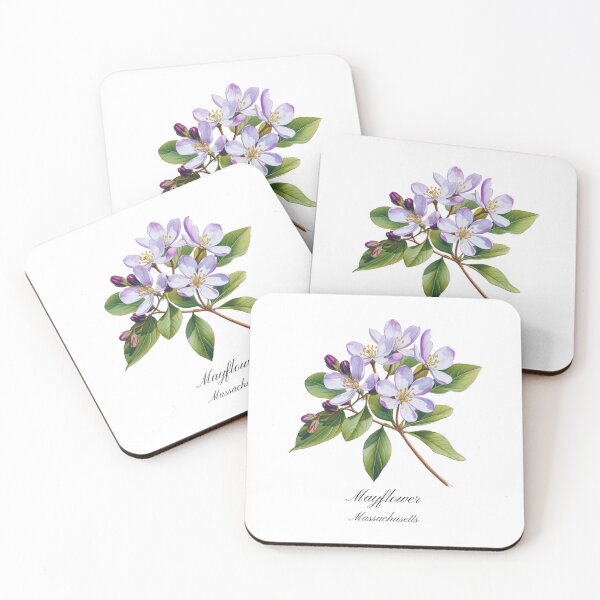 Item preview, Massachusetts State Flower-Mayflower designed and sold by Counterbalance Dzigns.