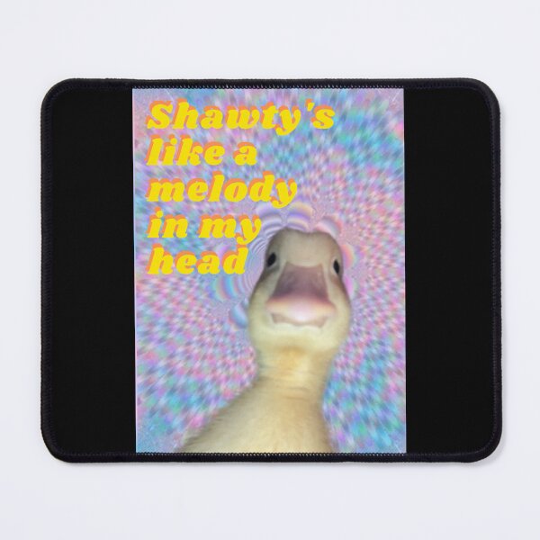 Duck Meme Tapestries Shawty's Like a Melody Wall 