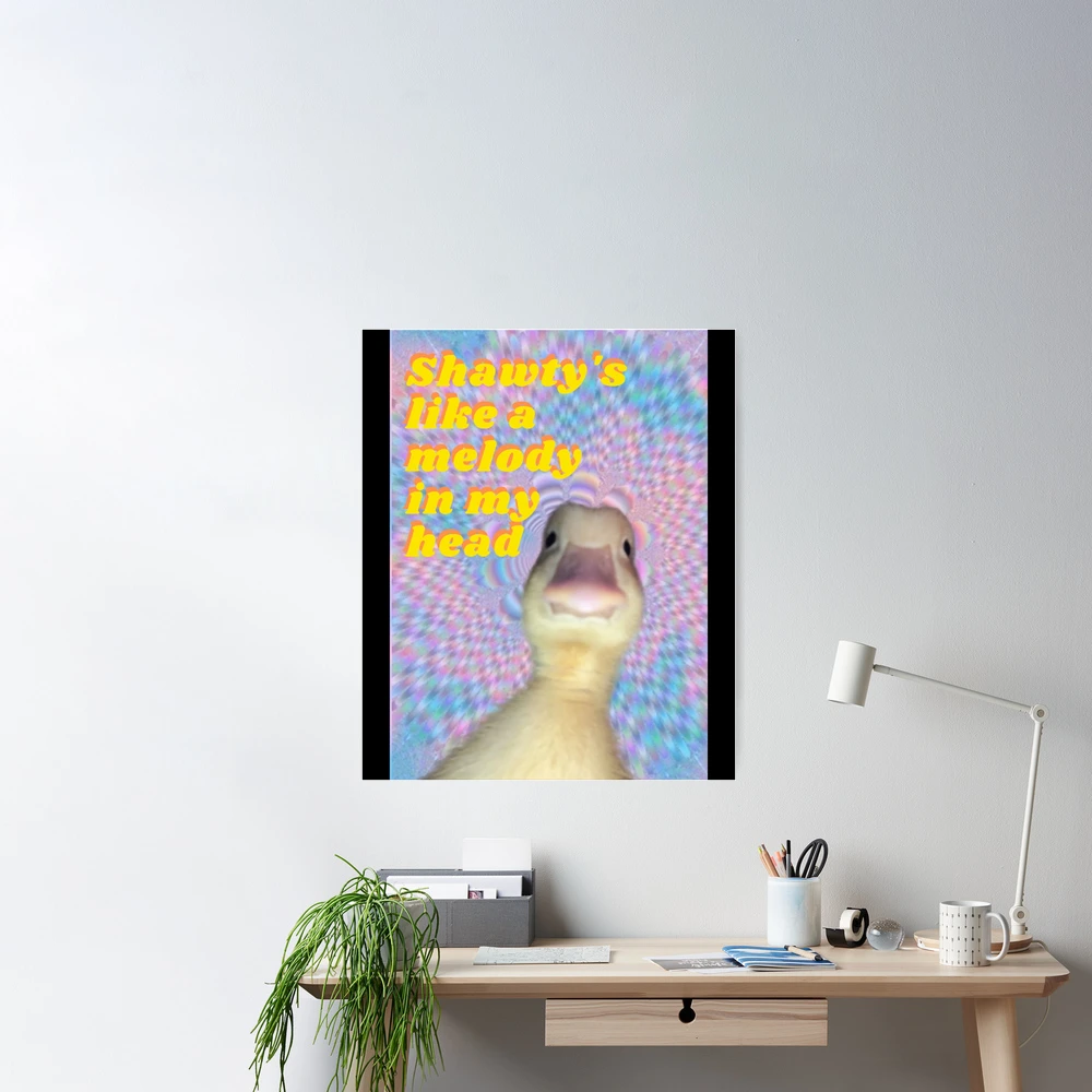 Duck Meme Tapestries Shawty's Like a Melody Wall 