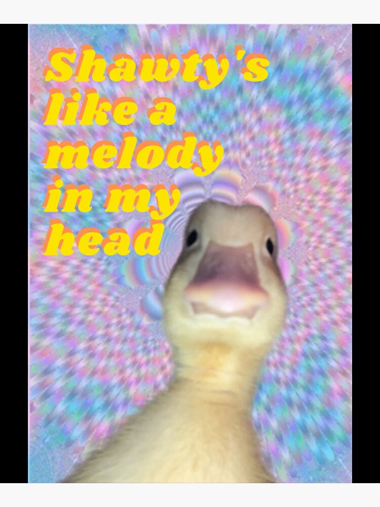 Shawty's like a melody in my head  Photographic Print for Sale by