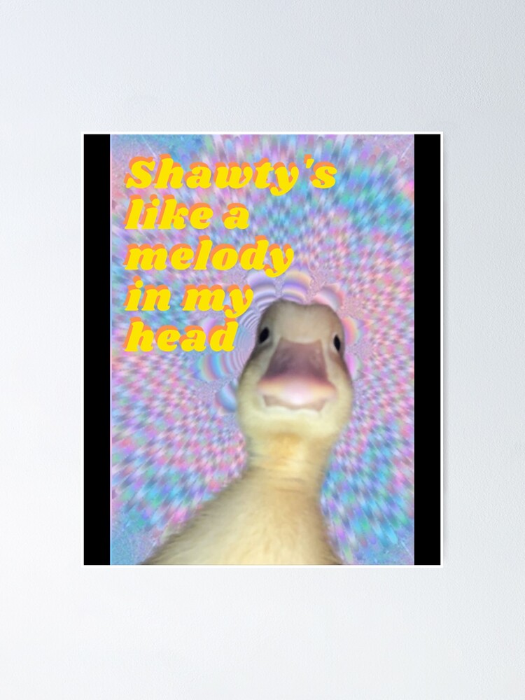 Duck Meme Tapestries Shawty's Like a Melody Wall 