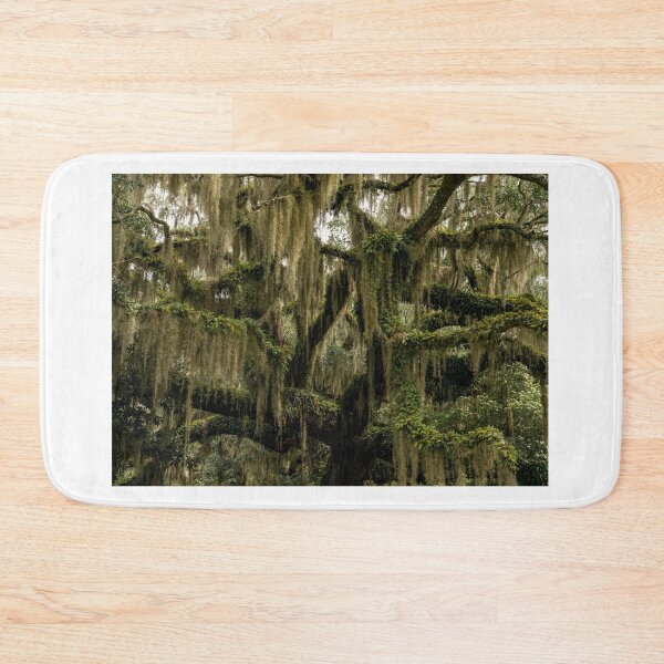 Item preview, Brookgreen designed and sold by DiFigianoPhoto.