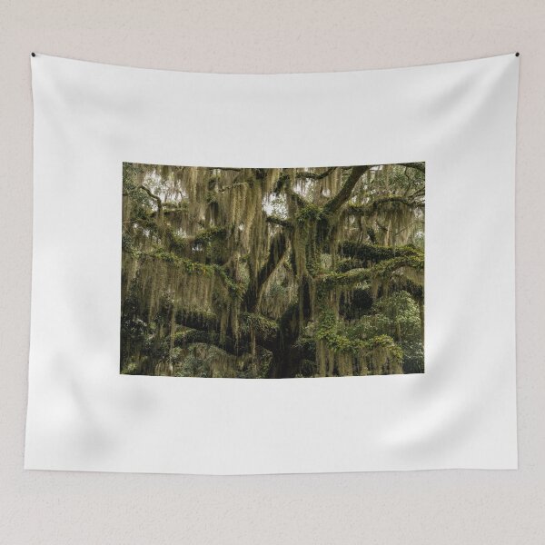 Item preview, Brookgreen designed and sold by DiFigianoPhoto.