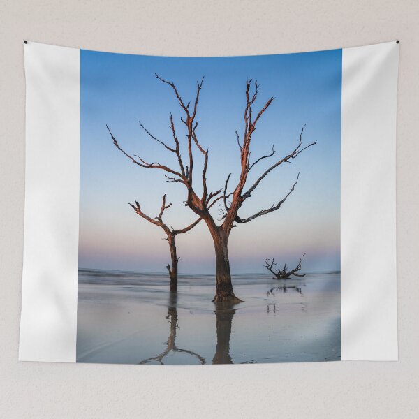 Item preview, Boneyard Beach 23/12 designed and sold by DiFigianoPhoto.