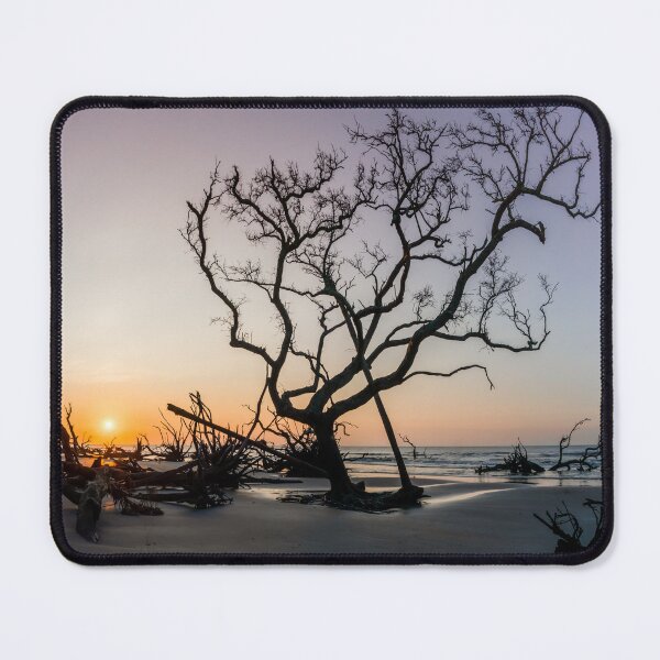 Item preview, The Boneyard 23/11 designed and sold by DiFigianoPhoto.