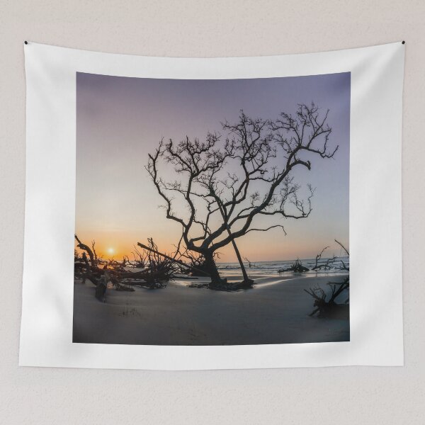 Item preview, The Boneyard 23/11 designed and sold by DiFigianoPhoto.