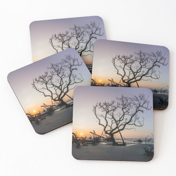 Item preview, The Boneyard 23/11 designed and sold by DiFigianoPhoto.
