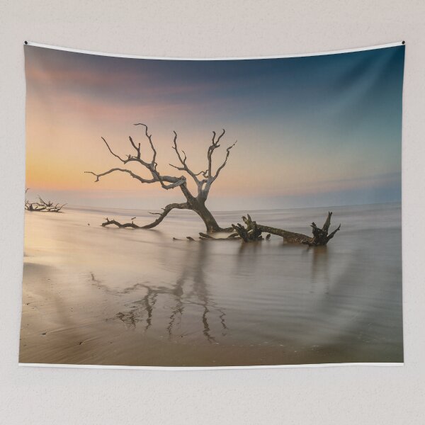 Item preview, Boneyard Beach 23/15 designed and sold by DiFigianoPhoto.