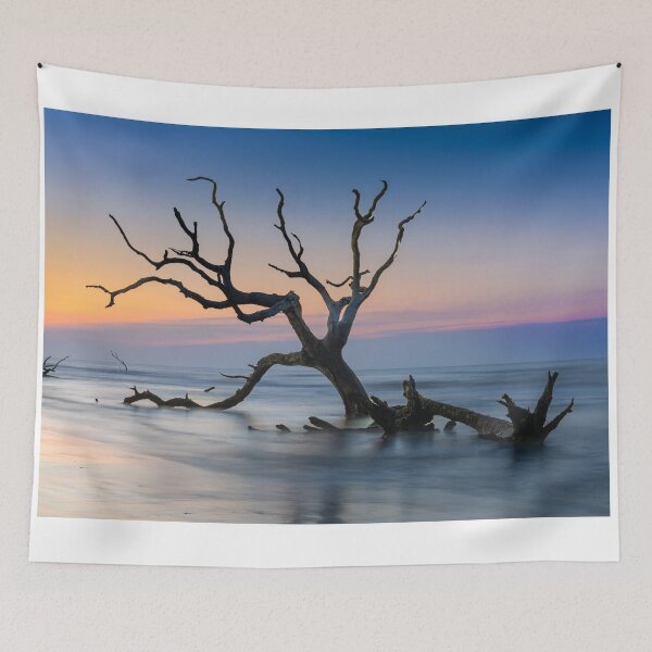 Item preview, Boneyard Beach 23/13 designed and sold by DiFigianoPhoto.