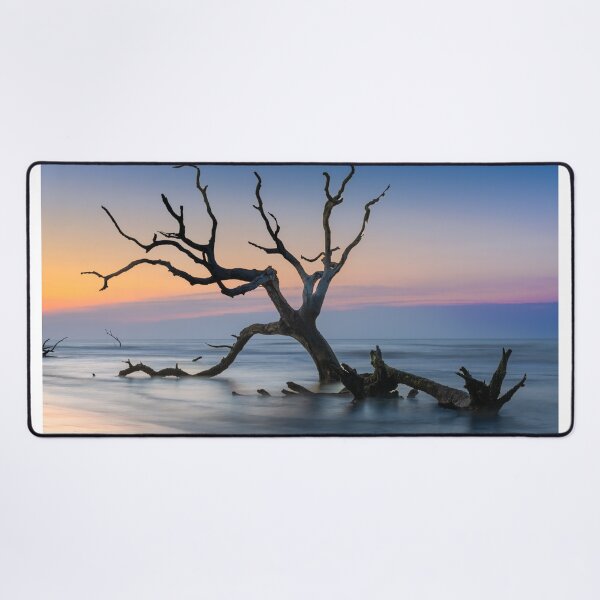 Item preview, Boneyard Beach 23/13 designed and sold by DiFigianoPhoto.
