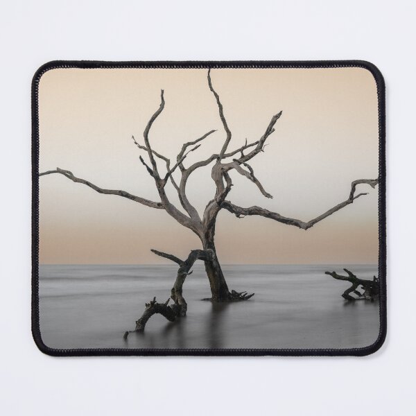 Item preview, Boneyard Beach 23/14 designed and sold by DiFigianoPhoto.